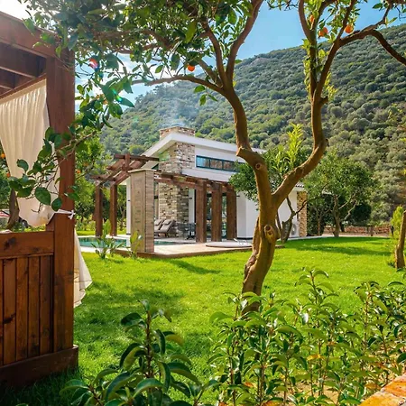 Batihan Vadi * קוסדסי